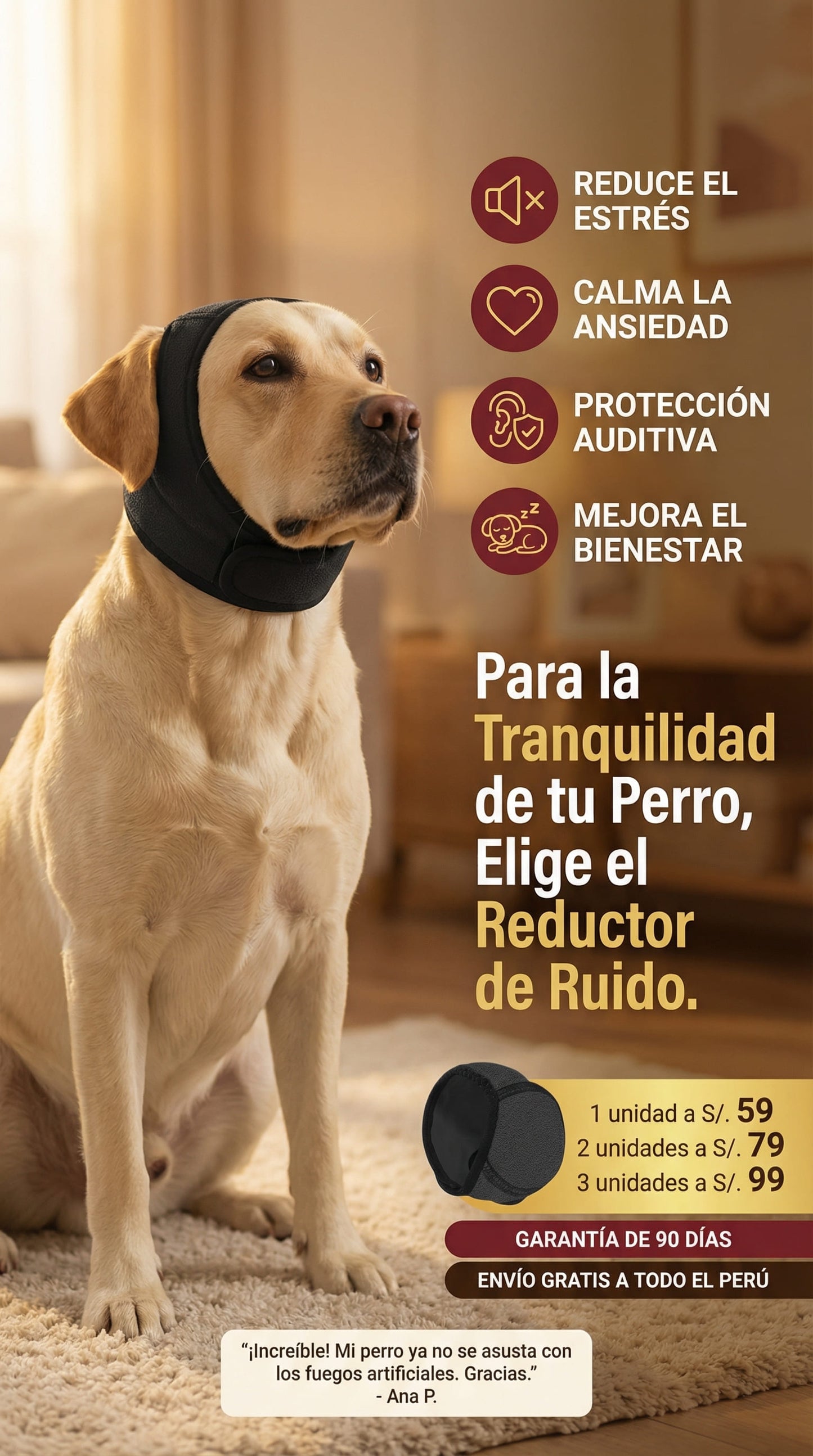 Reductor de Ruido para Perros